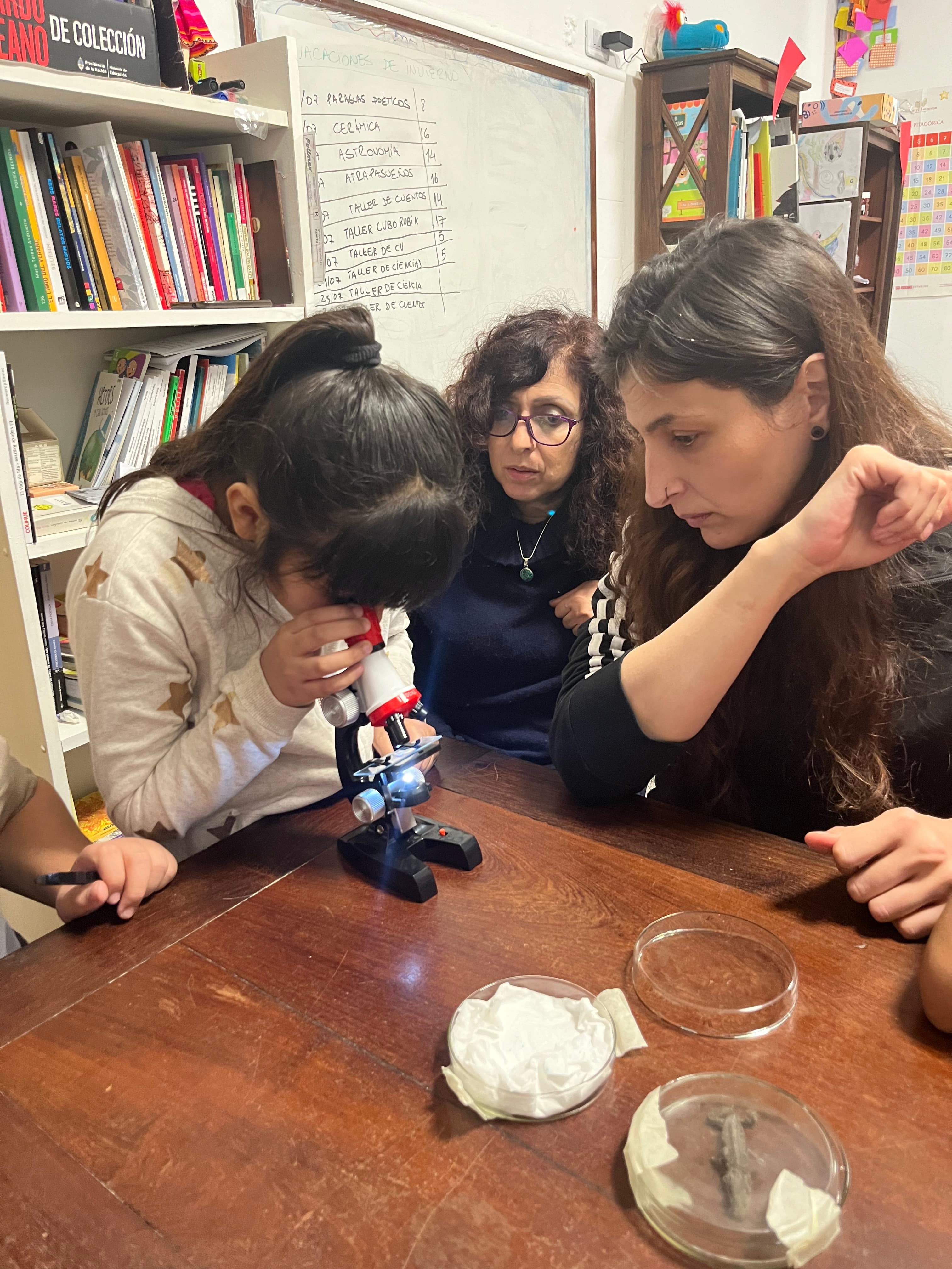 🔬 Club de ciencias